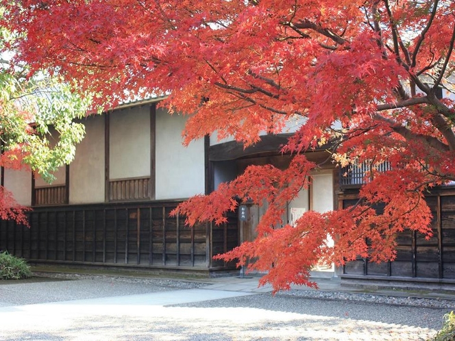 旧細川刑部邸 紅葉（写真提供：一般財団法人熊本国際観光コンベンション協会）