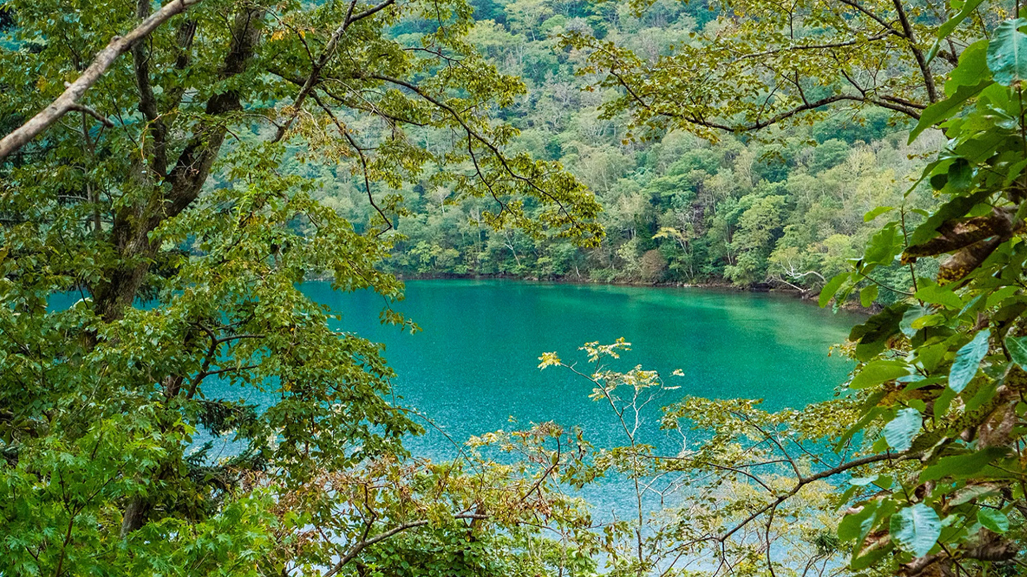 静かな温泉村カルルスの近くにある湖「橘湖」。その様子はまさに幻想的！【周辺/登別】