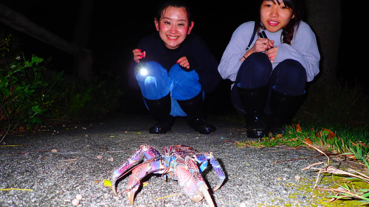 【ナイトツアーセット】夜のジャングルを探検！亜熱帯の生き物に会いに行こう（朝食・日本酒フリーフロー）