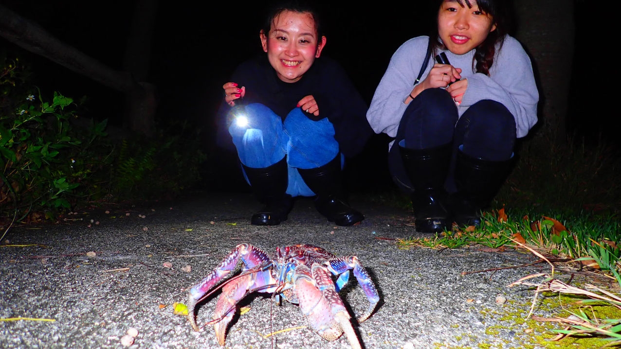 【ナイトツアーセット】夜のジャングルを探検！亜熱帯の生き物に会いに行こう（朝食・日本酒フリーフロー）