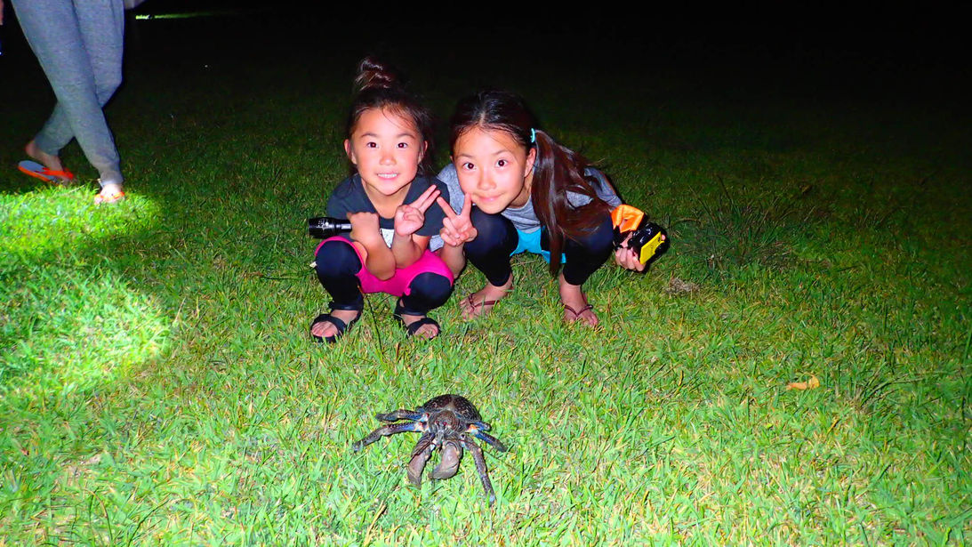 【ナイトツアーセット】夜のジャングルを探検！亜熱帯の生き物に会いに行こう（朝食・日本酒フリーフロー）