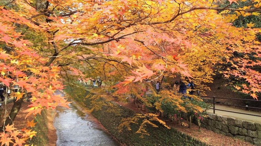 【期間限定】【素泊まり】2泊以上で15％OFF！事前決済・返金不可☆京都駅八条西口・アクセス抜群！