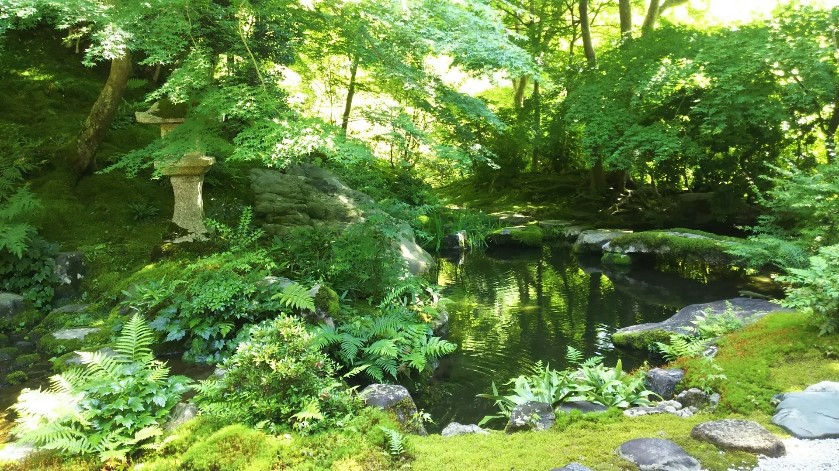 【３連泊以上/素泊まり】3日前までの予約でトクトク♪　〜返金・変更不可＆事前カード決済限定〜