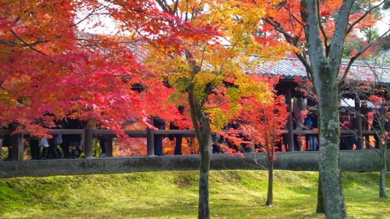 【期間限定】【素泊まり】2泊以上で15％OFF！事前決済・返金不可☆京都駅八条西口・アクセス抜群！