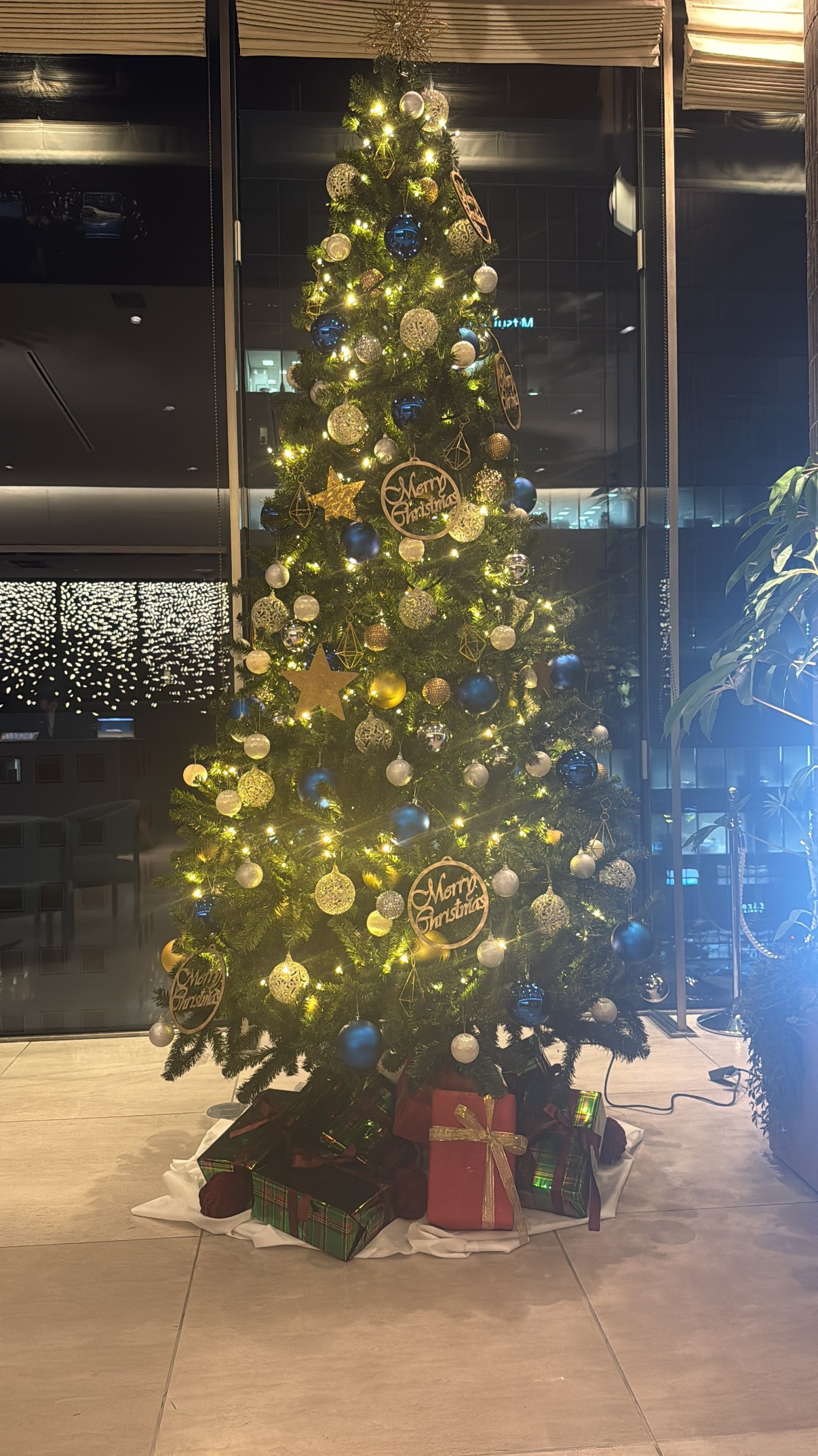 クリスマスツリー（夜）