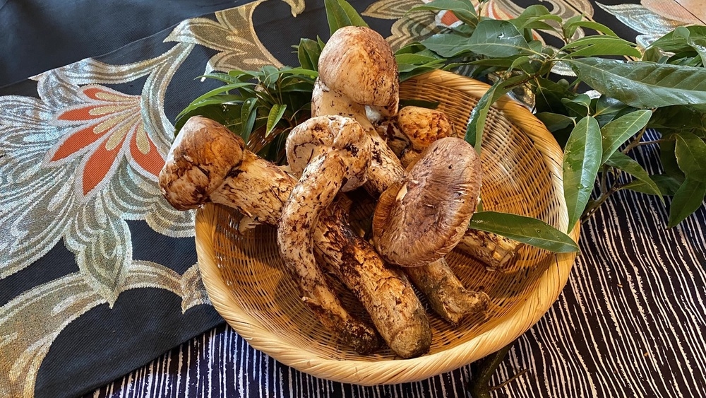 【秋の贅沢懐石】松茸の土瓶蒸しに松茸ごはん♪富士山麓の松茸を味わい尽くす（期間限定）