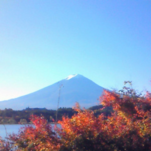 紅葉と富士山。（写真はイメージです）