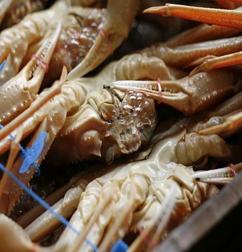 城崎温泉 料理旅館 よしはる - 写真 168