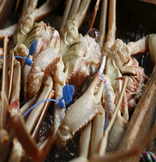 城崎温泉 料理旅館 よしはる - 写真 167