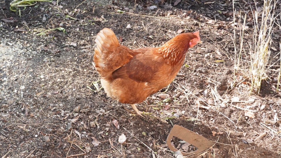 ラッキー！おもしろい宿を見つけましたね！当館が初めての方向けに綴る『泊まってよかった理由』15選！