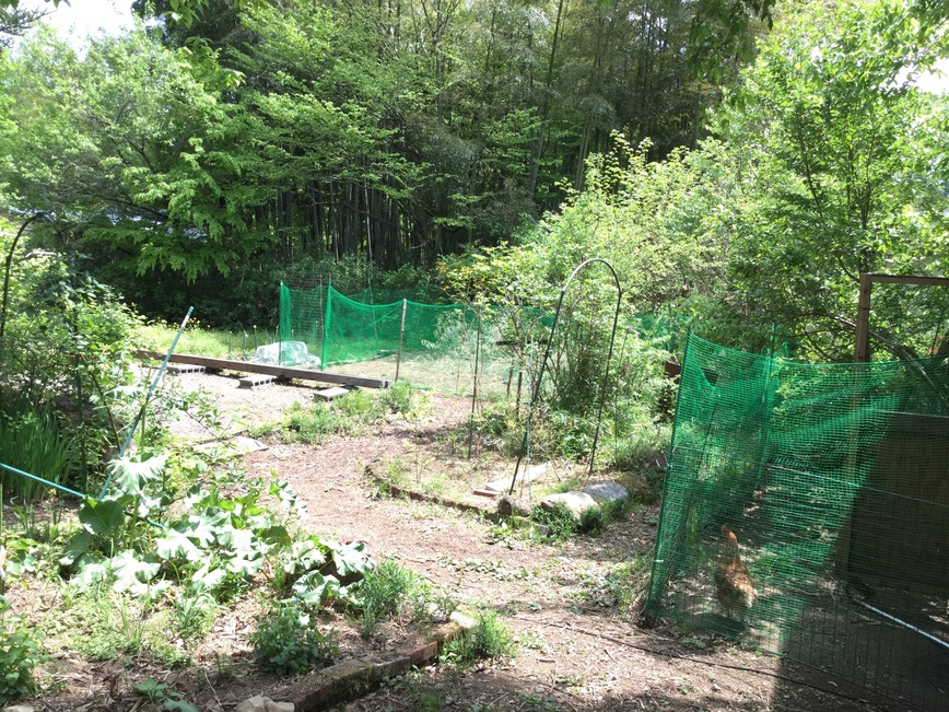 ラッキー！おもしろい宿を見つけましたね！当館が初めての方向けに綴る『泊まってよかった理由』15選！