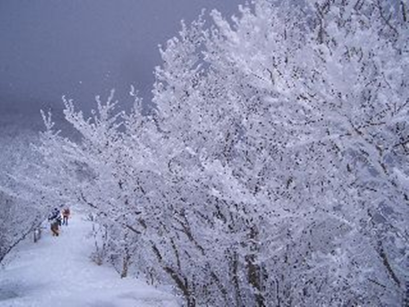 松月館 写真・動画【楽天トラベル】