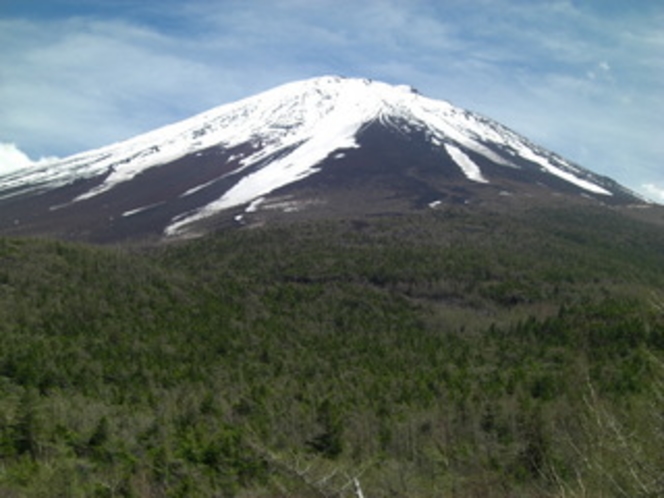 【四季の富士】奥庭からの富士山