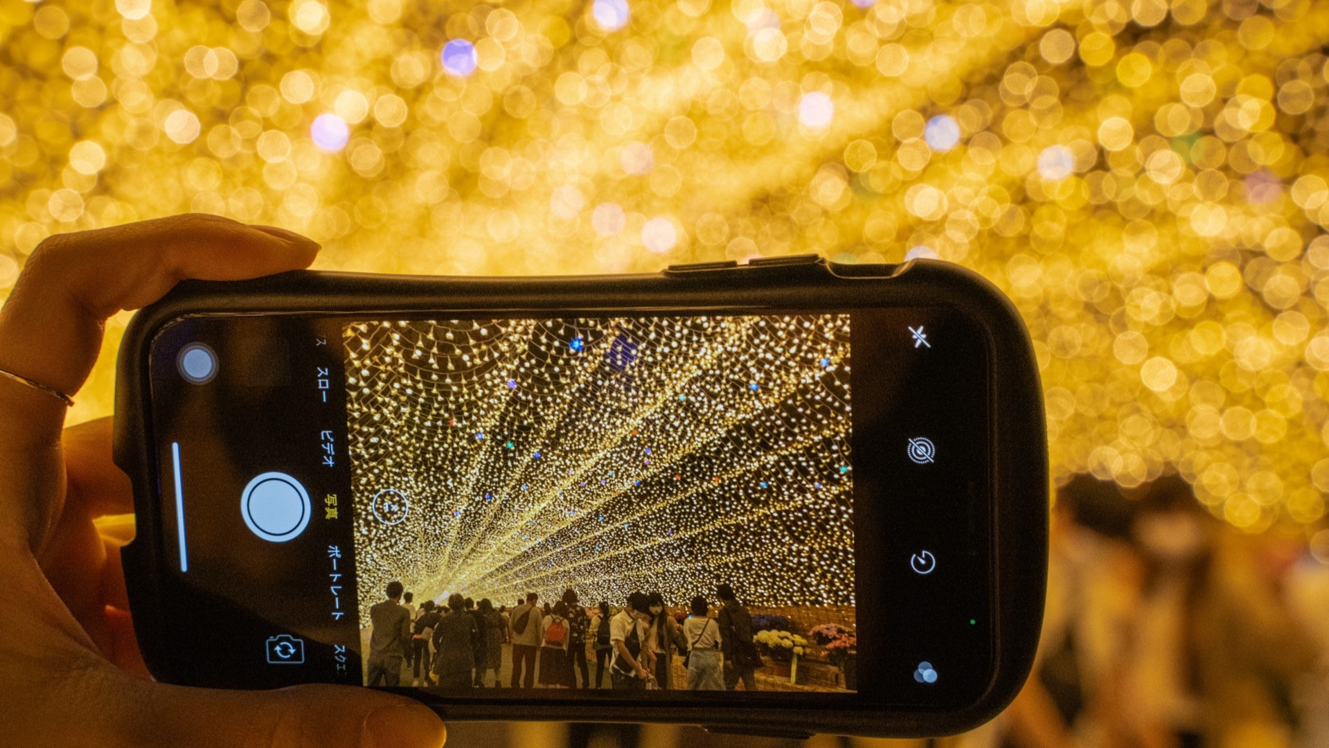 【当館から車で10分】なばなの里イルミネーション