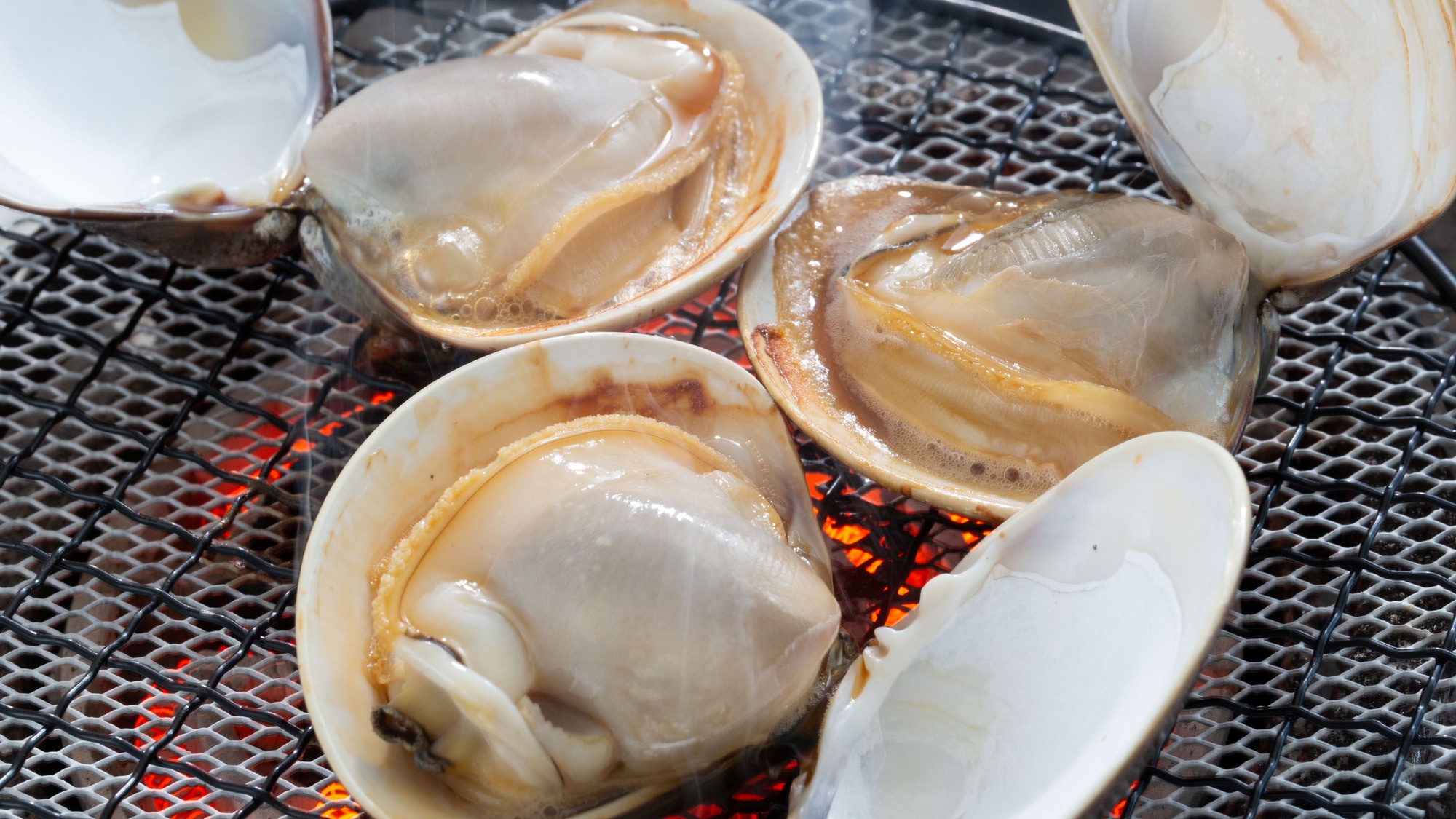 桑名で愛される蛤をぜひご堪能ください！　※イメージ