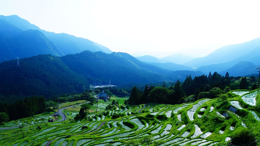 【熊野倶楽部】丸山千枚田