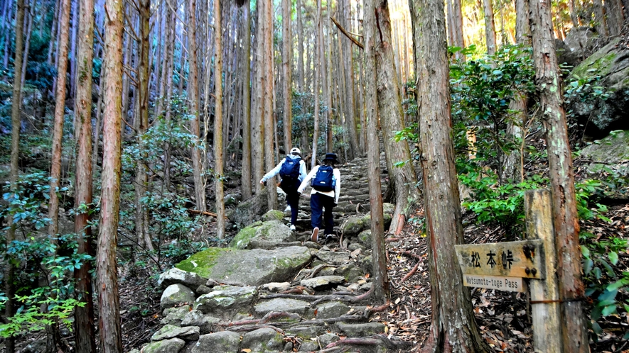 【熊野倶楽部】世界遺産登録20周年　熊野古道「松本峠」