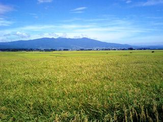 #眼前の風景