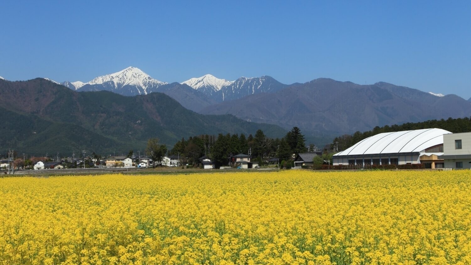 【春限定】花咲くリゾート安曇野。料理長が山を分け入り収穫した山菜を味わうグルメプラン　1泊2食付