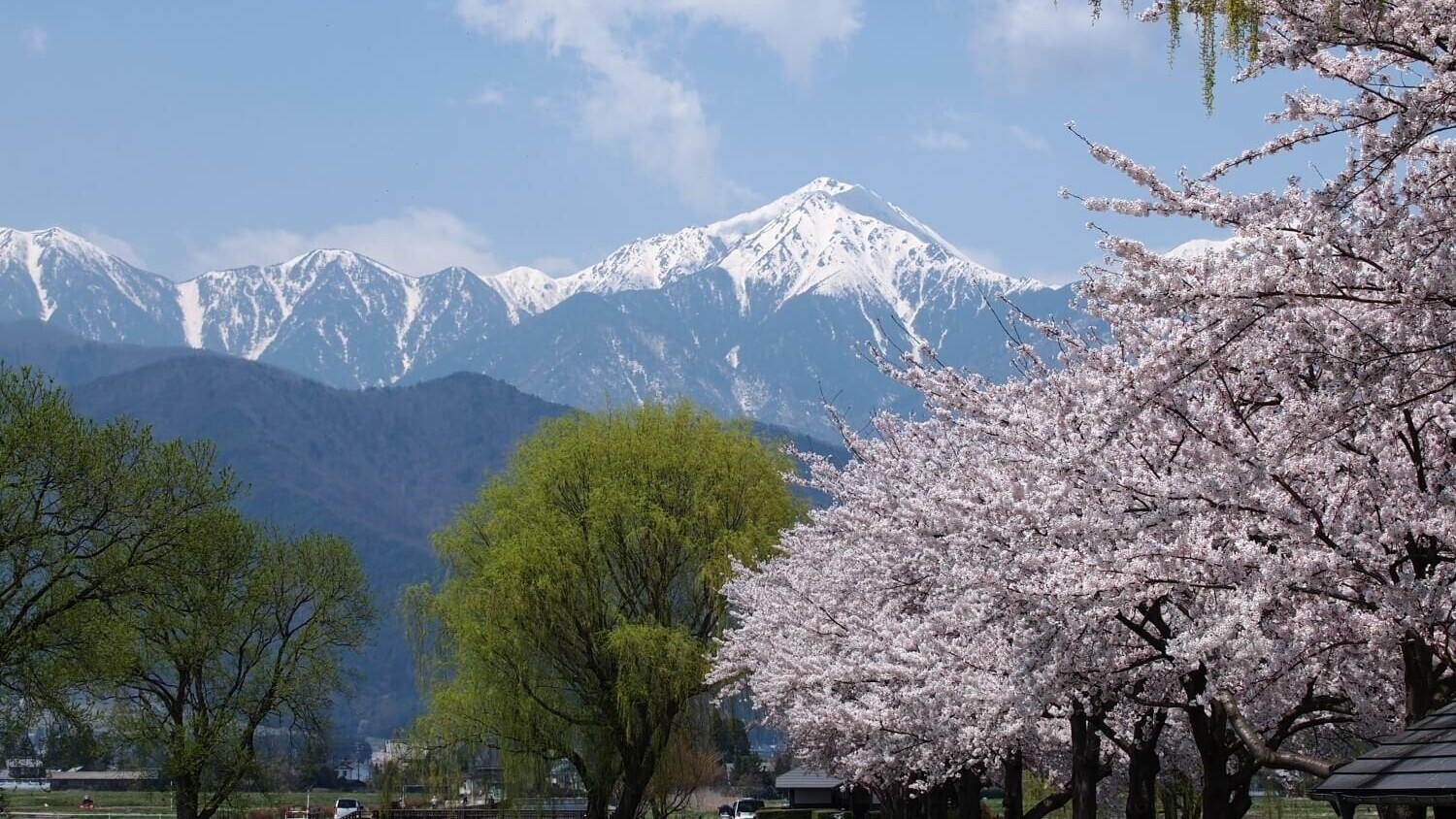 【春限定】花咲くリゾート安曇野。料理長が山を分け入り収穫した山菜を味わうグルメプラン　1泊2食付