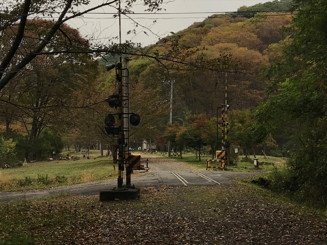 旧篠ノ井線廃線敷　けやきの森①紅葉　　10月下旬〜11月上旬