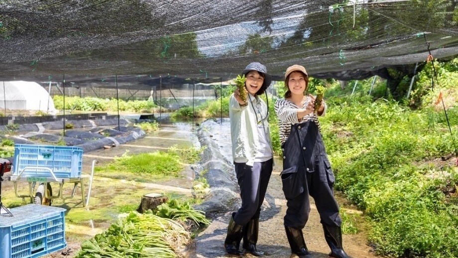 わさび収穫体験と水巡りサイクリング
