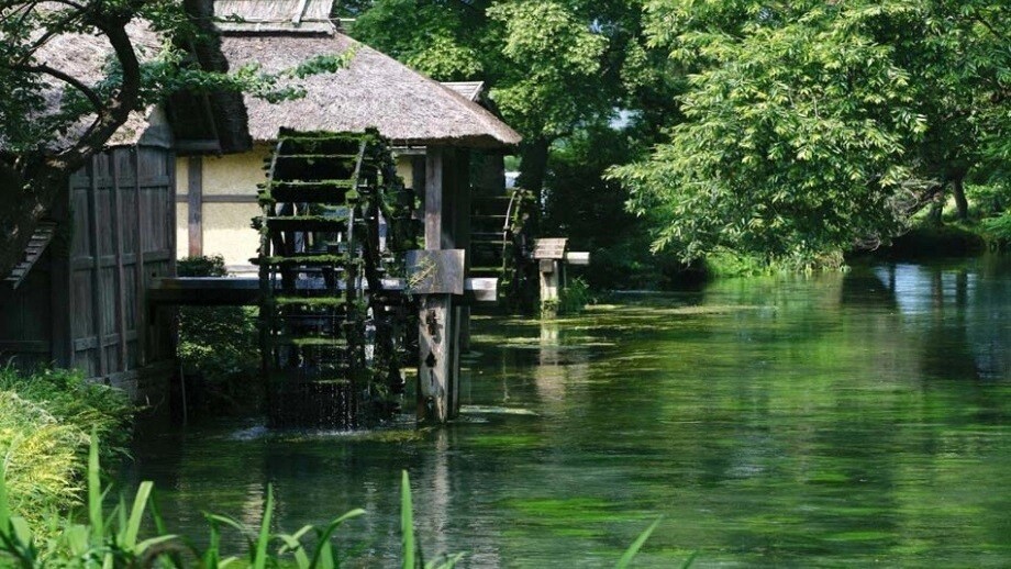 わさび収穫体験と水巡りサイクリング