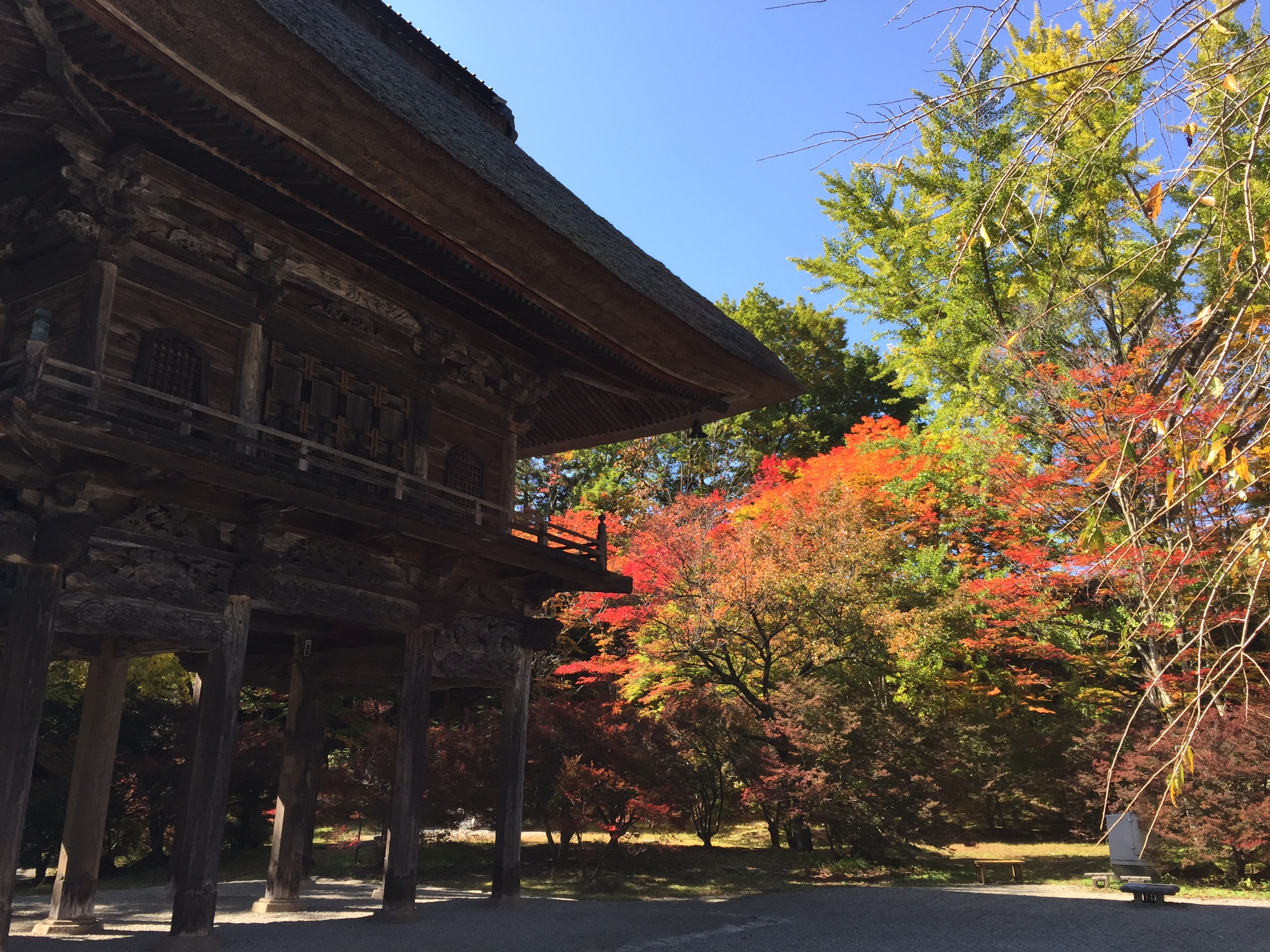 大町　霊松寺の紅葉②　11月初旬