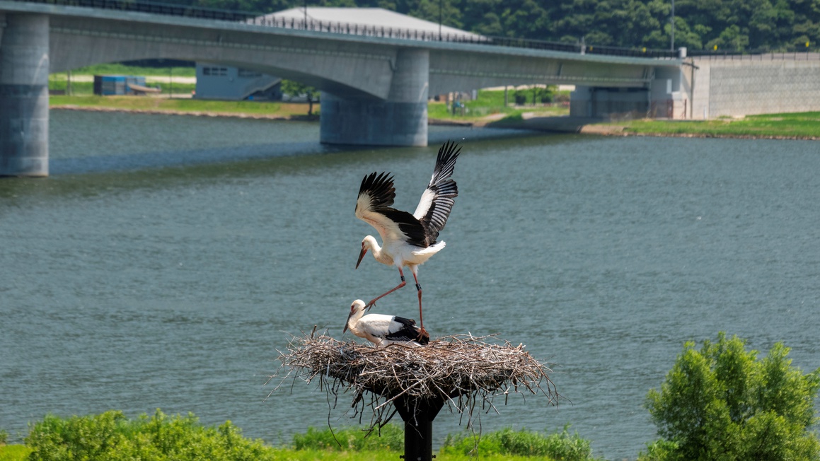 2025【たじま】〜但馬牛ステーキがメインの旨い物尽くし☆地元食材を使った季節会席