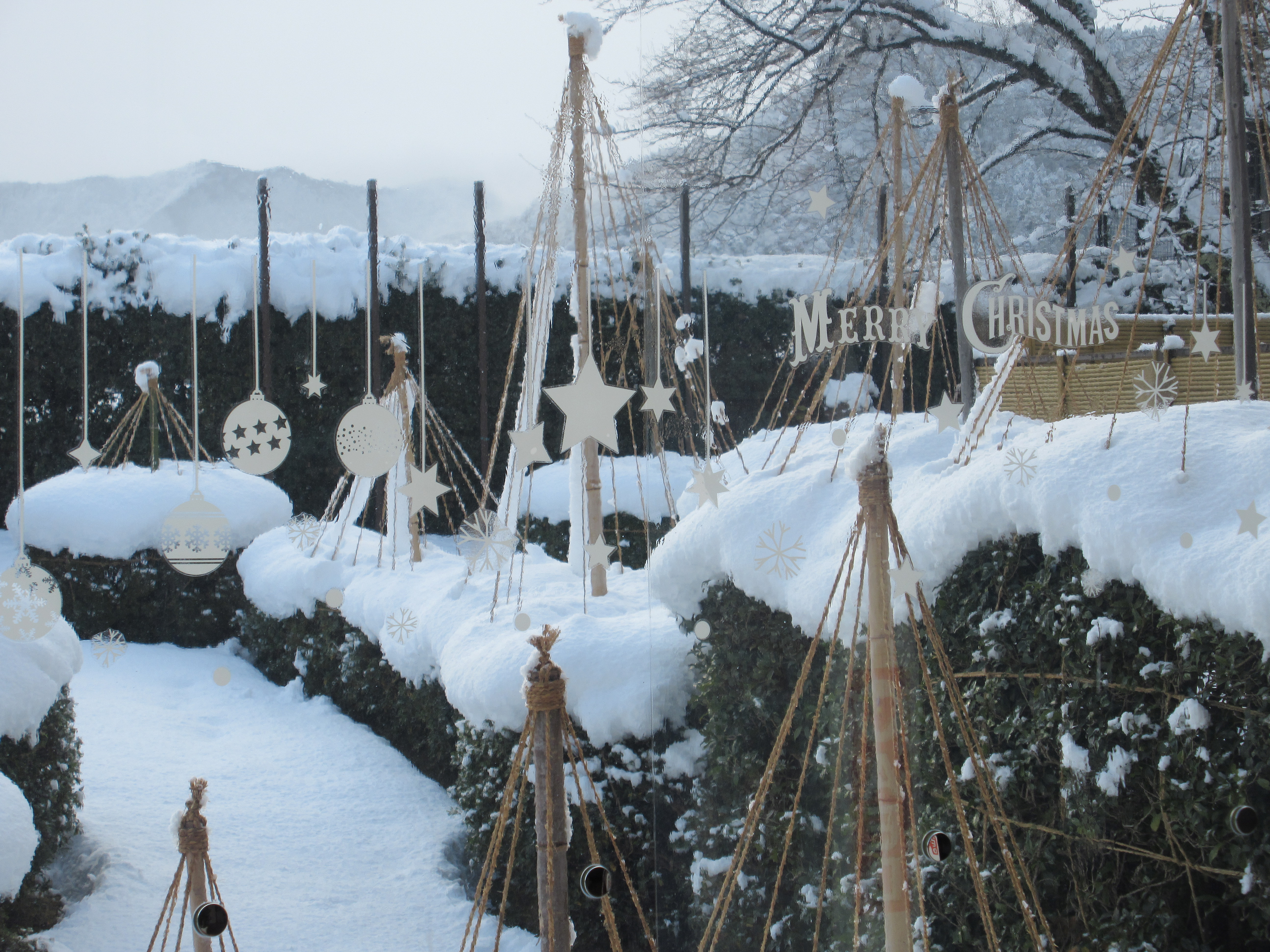 中庭の雪景色