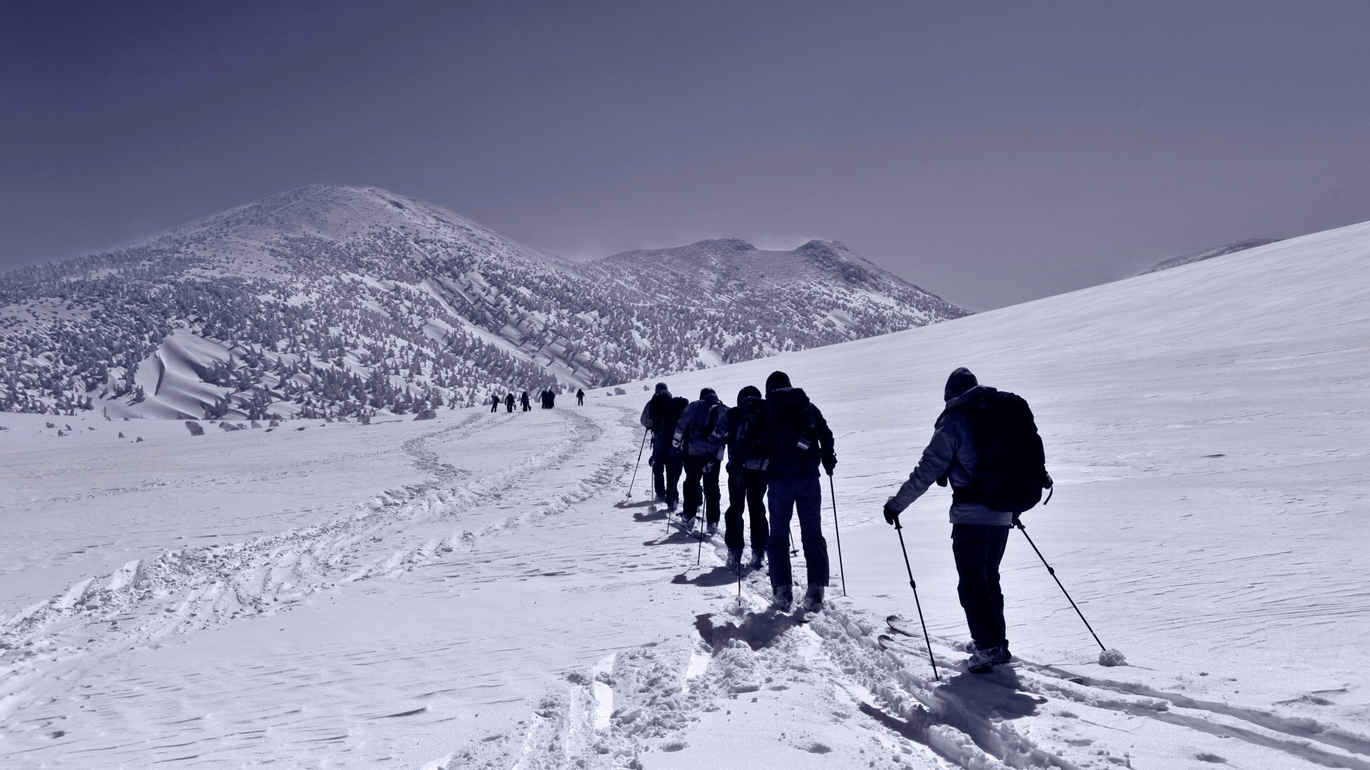 【プライベートツアー/専属ガイド付】八甲田バックカントリーでパウダースノーを愉しむ 夕朝食付き＞