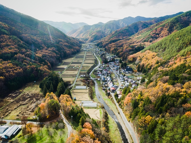 秋模様の川島地域