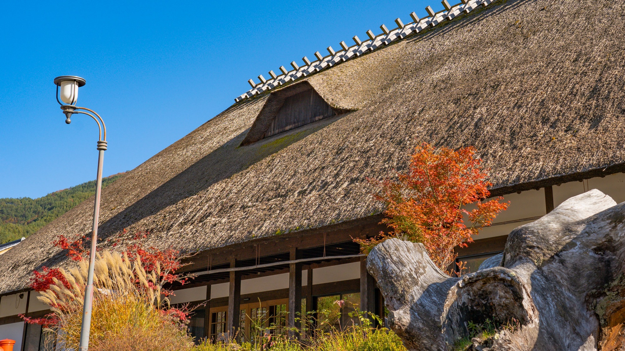日本一の長さを誇る、全長43mのかやぶき屋根。