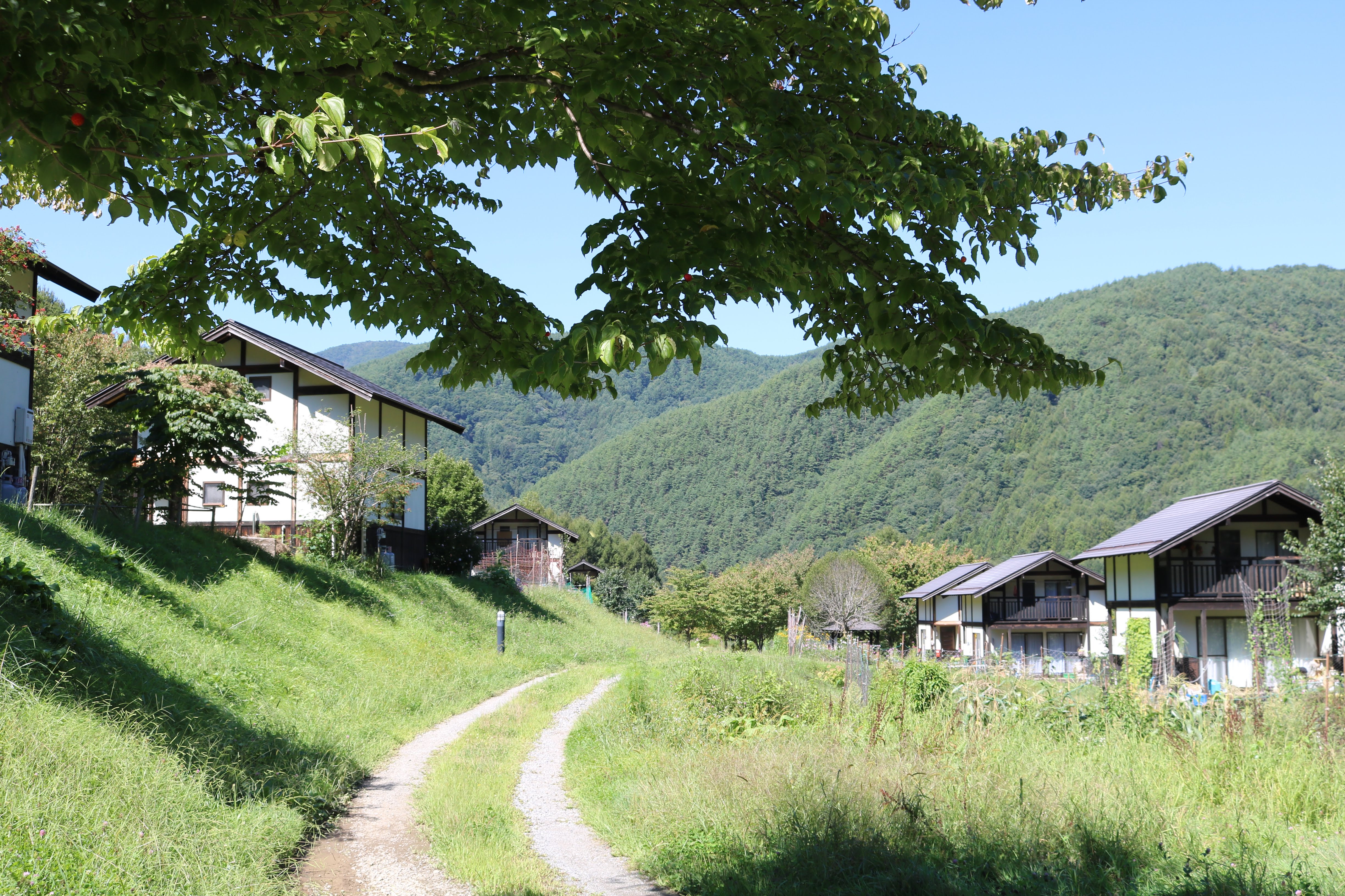 クラインガルデン（小屋付き市民農園）