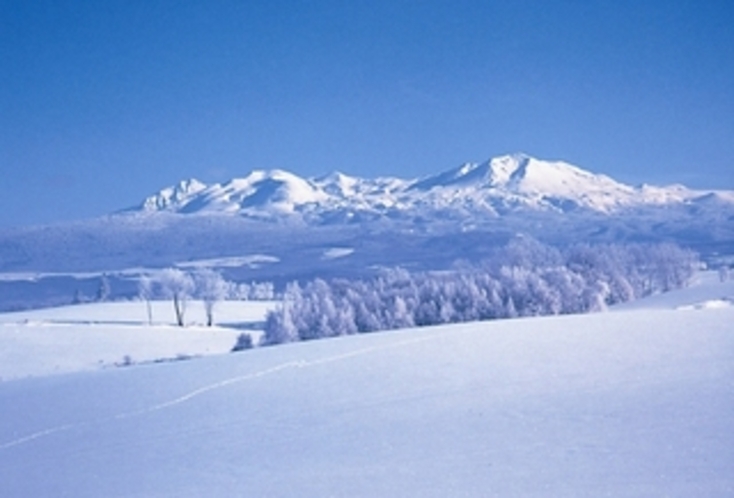 雪原と旭岳