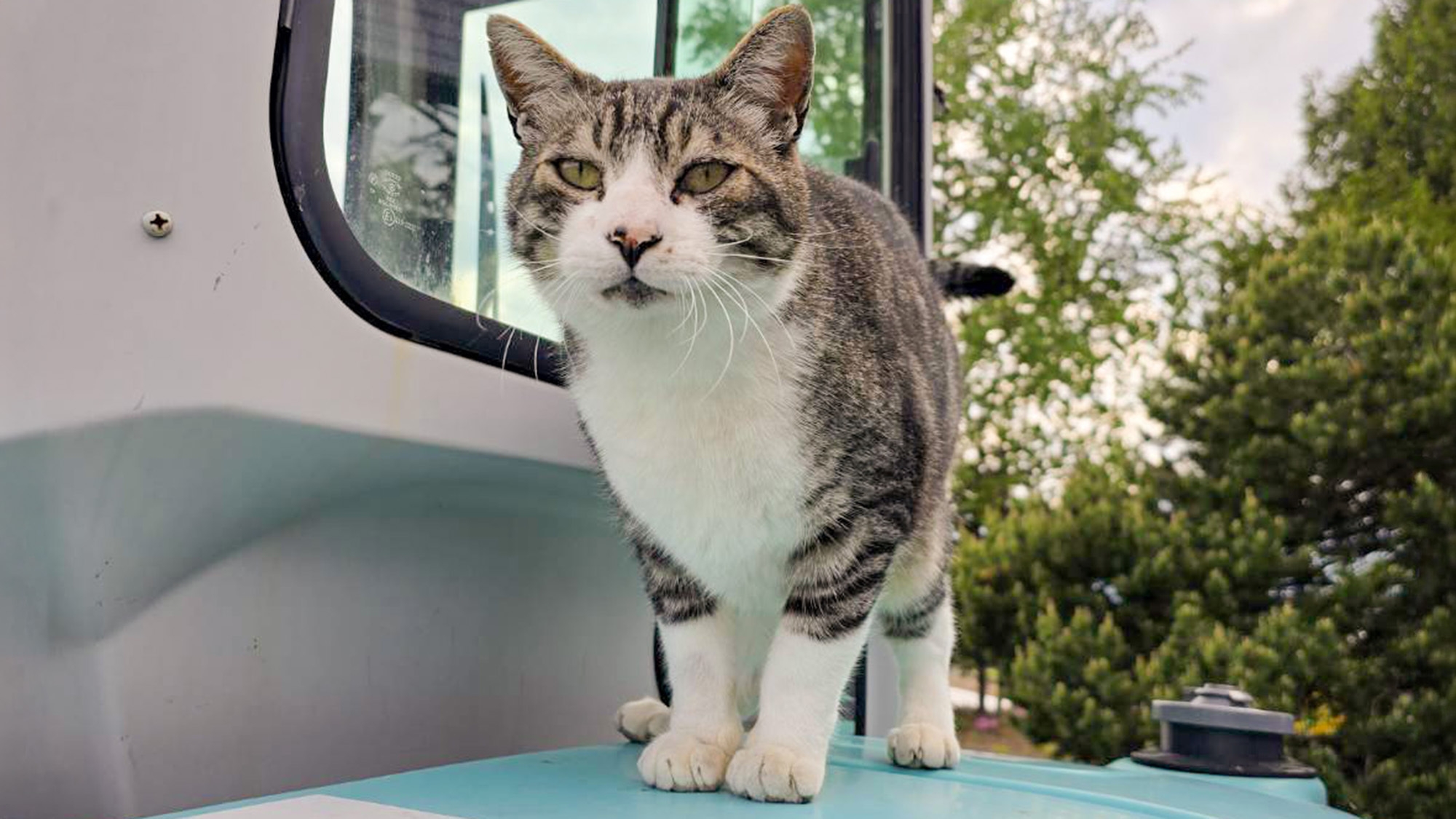 【連泊素泊まり】《清掃無し》3連泊以上でお得に癒し旅♪長期滞在におすすめ！◇全館Wi-Fi対応可能