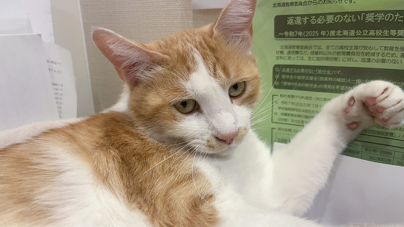 【連泊素泊まり】《清掃無し》3連泊以上でお得に癒し旅♪長期滞在におすすめ！◇全館Wi-Fi対応可能