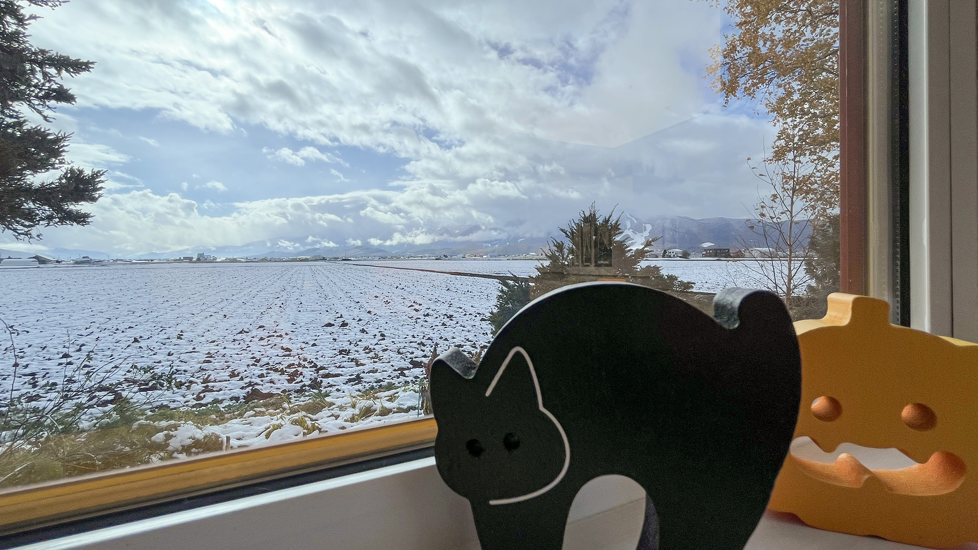 のどかな田畑を眺めれる宿