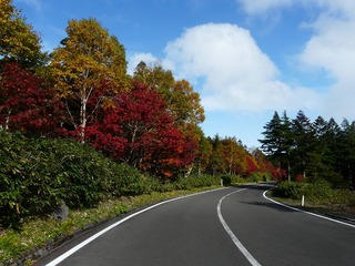 紅葉の磐梯吾妻スカイライン