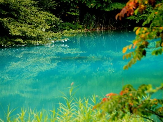 磐梯山の噴火によってつくられた湖沼「五色沼」