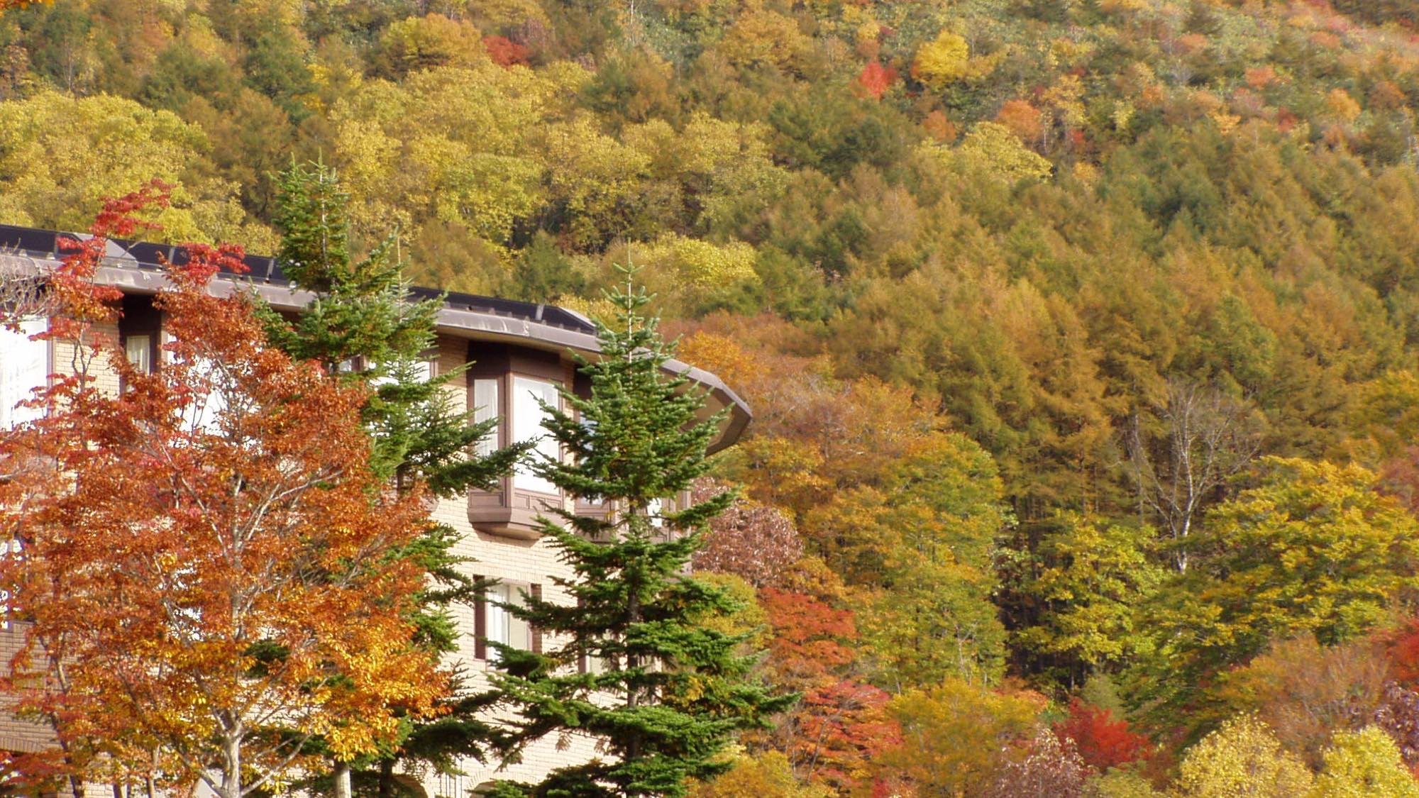 紅葉シーズンも、３６０度　山々が色づき幻想的な雰囲気を味わえます