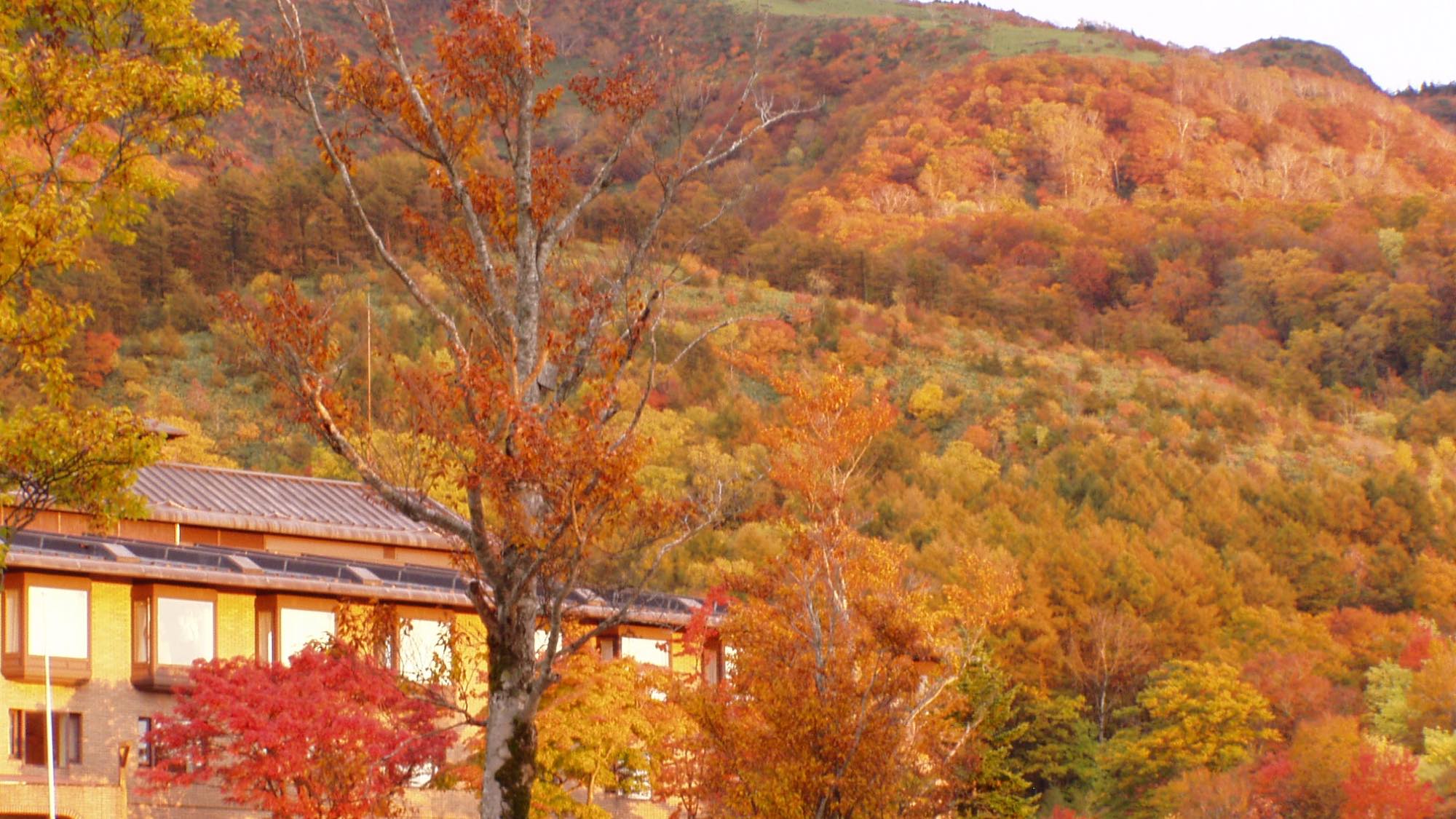 紅葉シーズンも、３６０度　山々が色づき幻想的な雰囲気を味わえます