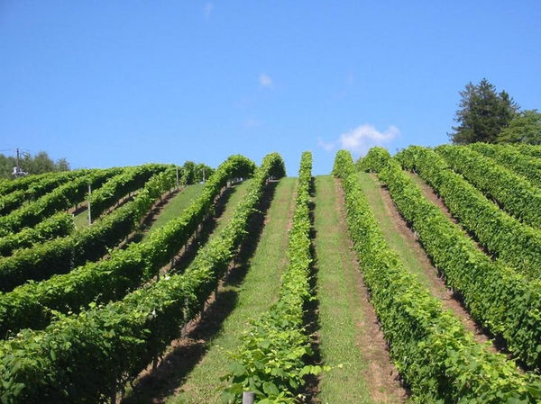ペンション あしたや 宿泊予約 楽天トラベル ペンション あしたや 宿泊予約 楽天トラベル