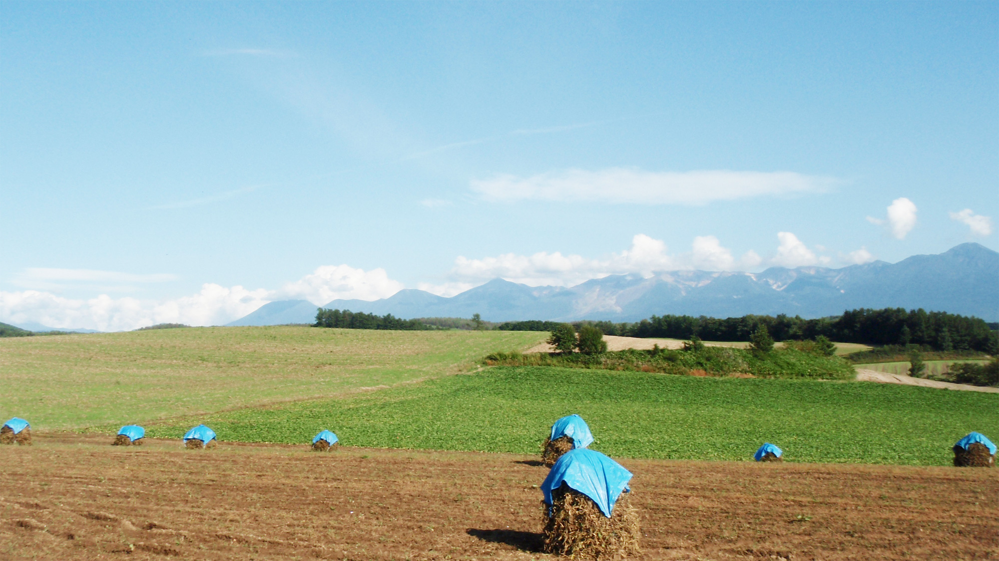 *夏の風景／広大な田畑の風景と青い空。美しい自然のコントラストに心も晴ればれ。 