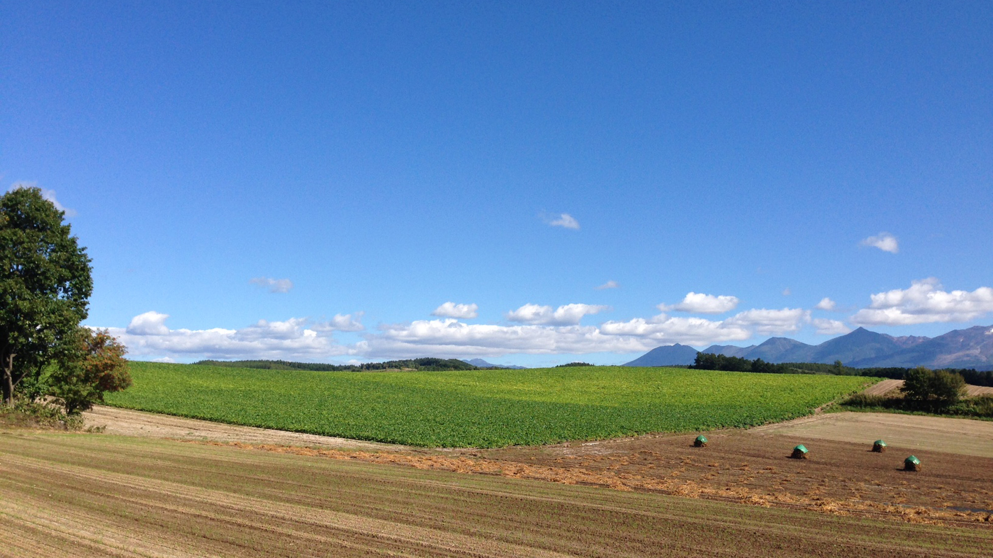 *夏の風景／広大な田畑の風景と青い空。美しい自然のコントラストに心も晴ればれ。 