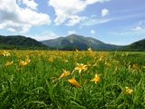 【心にググっと】【源泉】朝食付き。20時迄OK(Wi-Fi完備.)座敷童？虫博士はどこ？