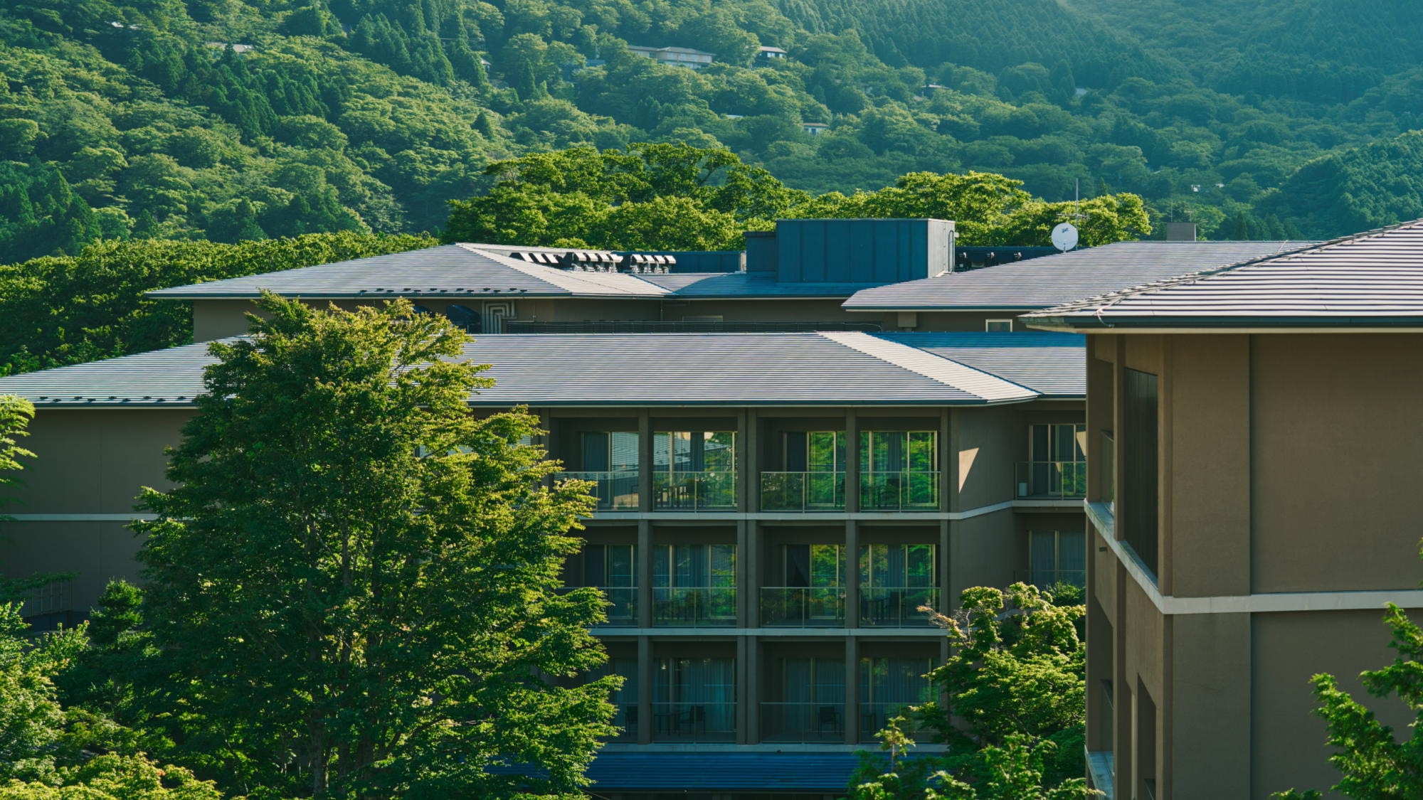 【春SALE】スタンダード・翠香-suikou-　料理長厳選旬の鮮魚で紡ぐ季節の日本料理／1泊2食付