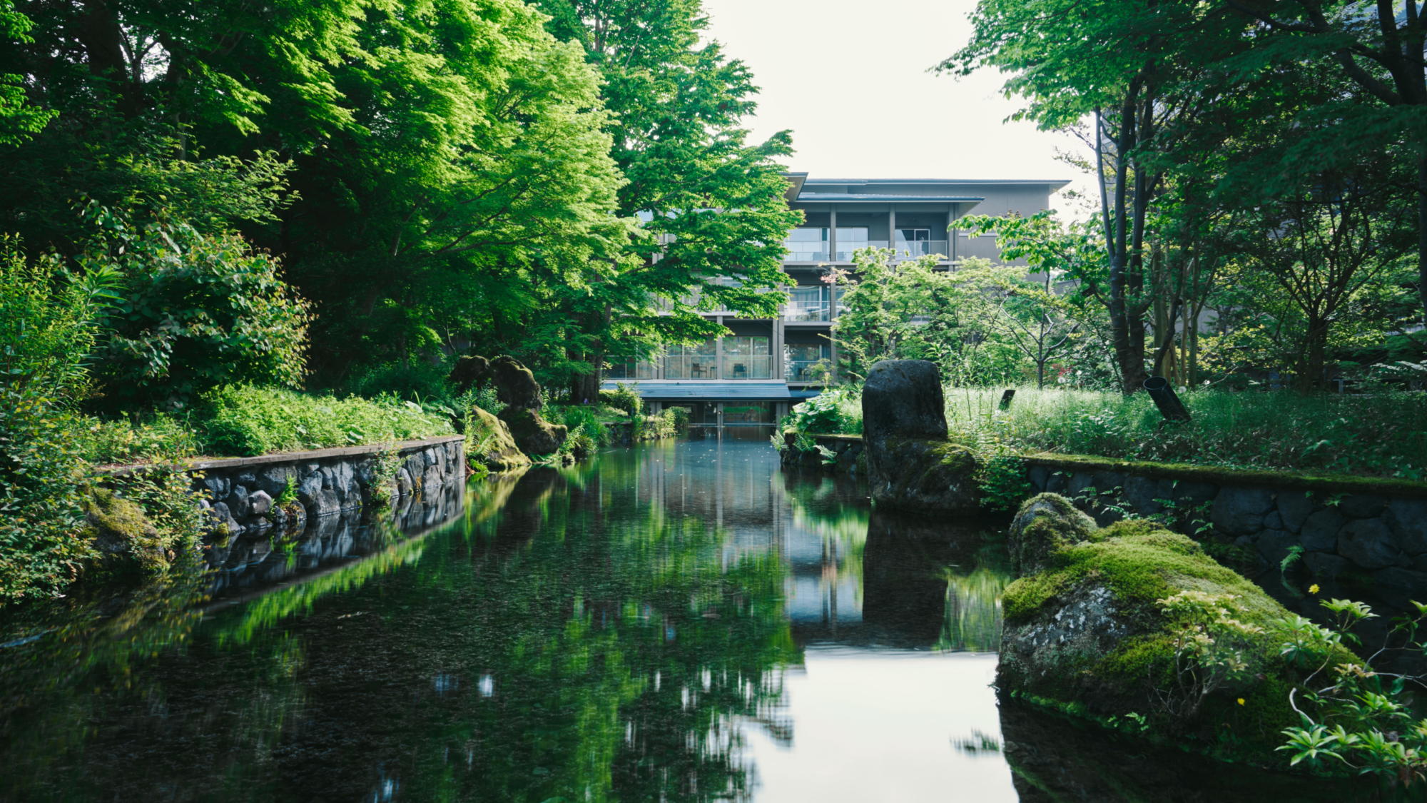 庭園を流れる清々しい水面に映える和の趣と佇まい