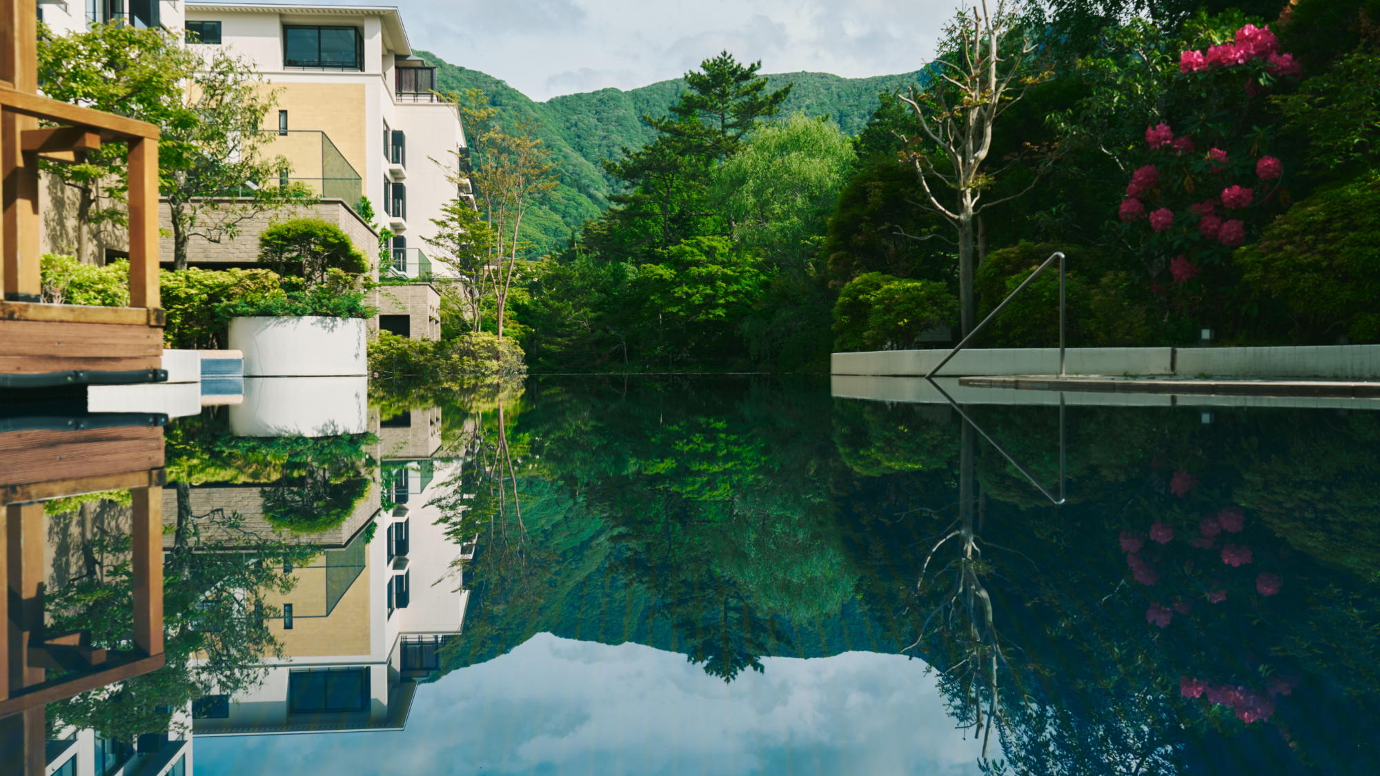 ガーデンには仙石原の風景と一体になるように、豊かな水をたたえた池や、鮮やかな緑の木々が立ち並びます