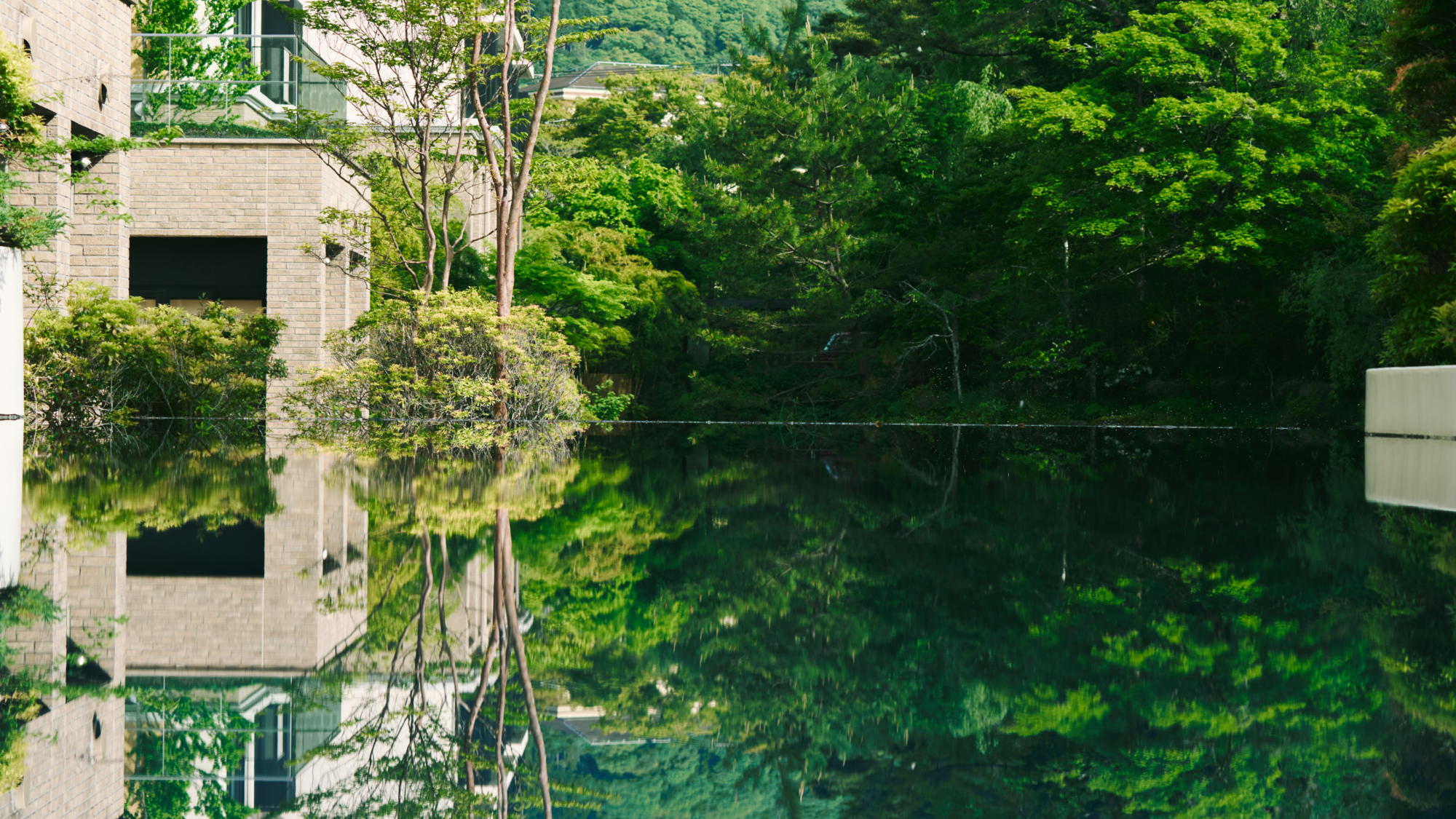 ガーデンには仙石原の風景と一体になるように、豊かな水をたたえた池や、鮮やかな緑の木々が立ち並びます